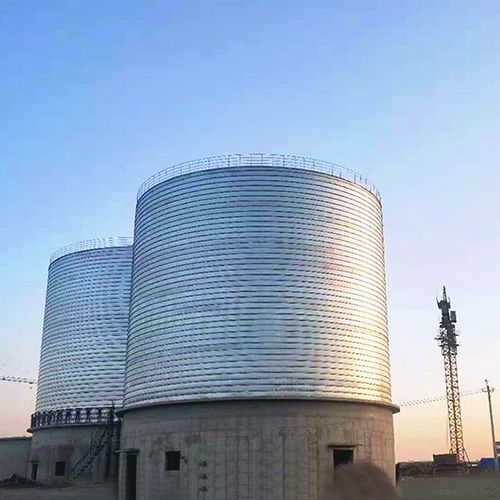Flat Bottom Silos
